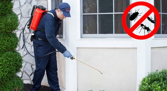 Tire Karınca İlaçlama böcek ilaçlama ve haşere kontrolü — ilaclama-tr.com